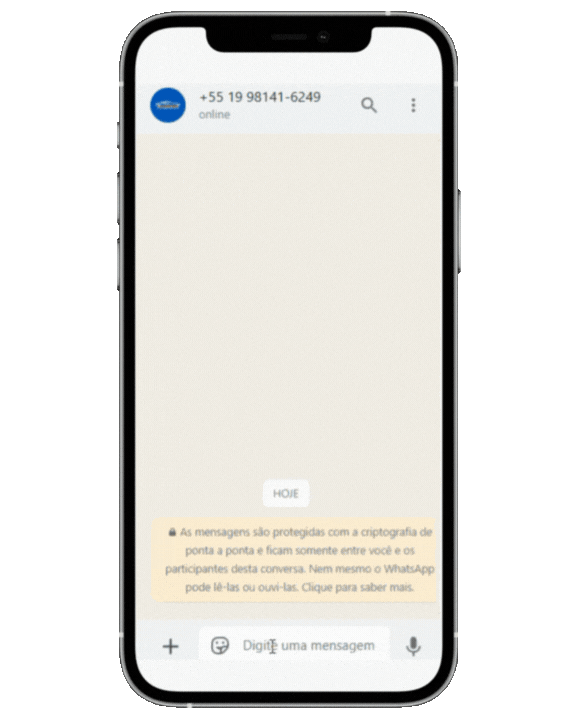 Lucro com Promote AI